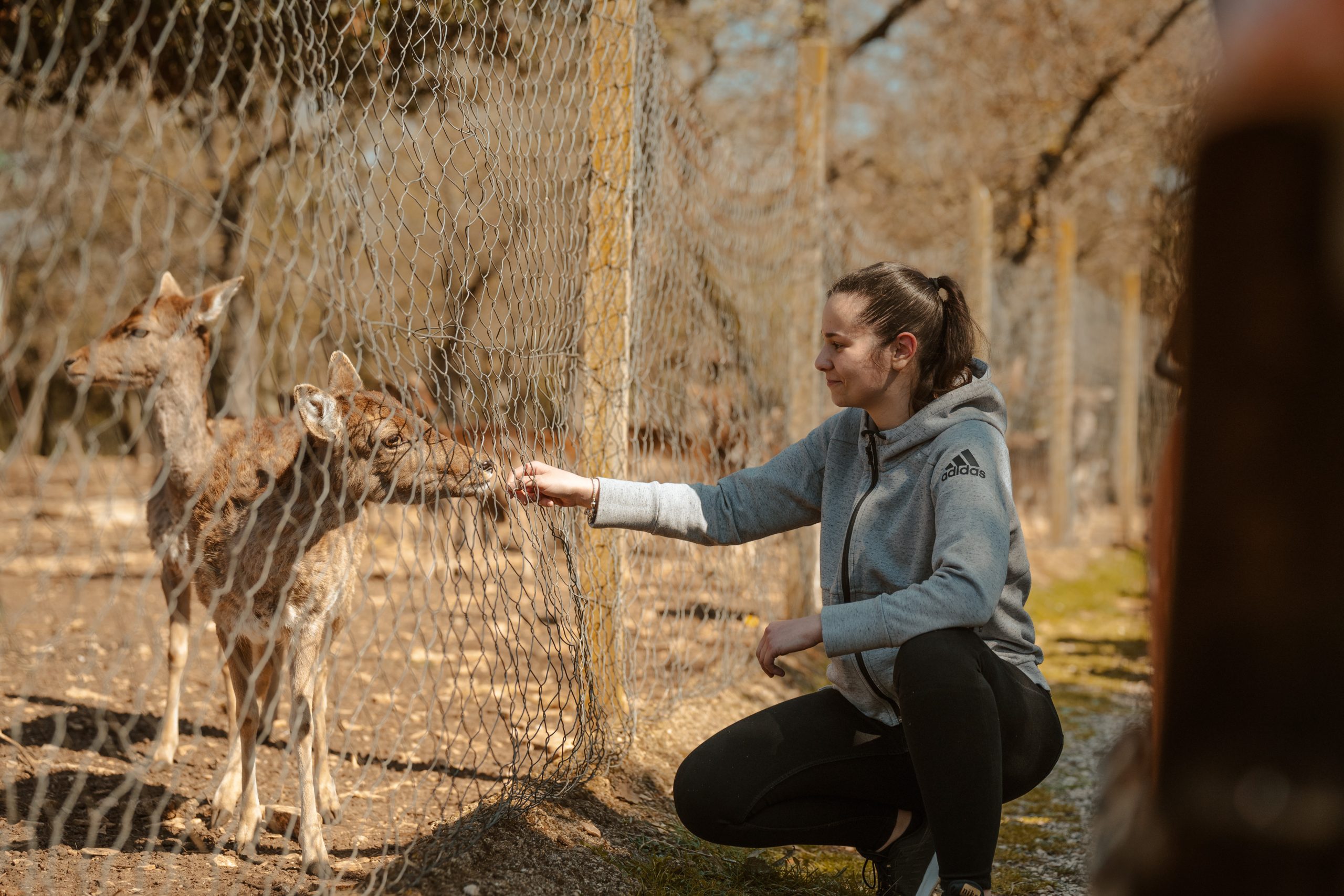 Custom offroad adventure